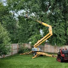 Best Emergency Tree Removal  in Harmony, PA