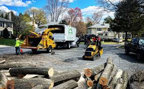  Harmony, PA Tree Care Pros